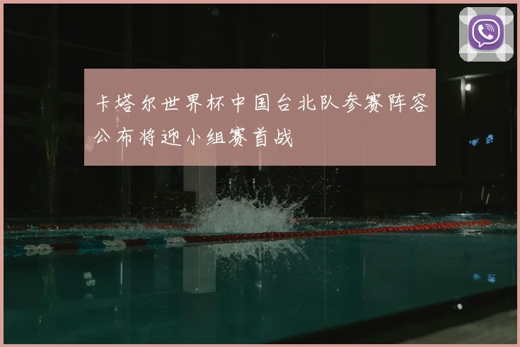 卡塔尔世界杯中国台北队参赛阵容公布将迎小组赛首战