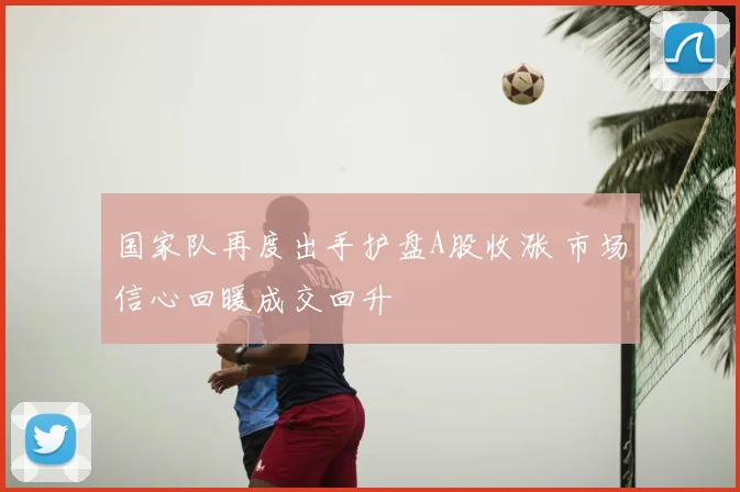 国家队再度出手护盘A股收涨 市场信心回暖成交回升