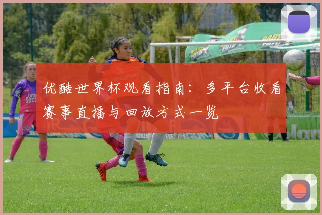 优酷世界杯观看指南：多平台收看赛事直播与回放方式一览