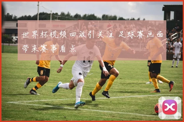 世界杯视频回放引关注 足球赛画面带来赛事看点