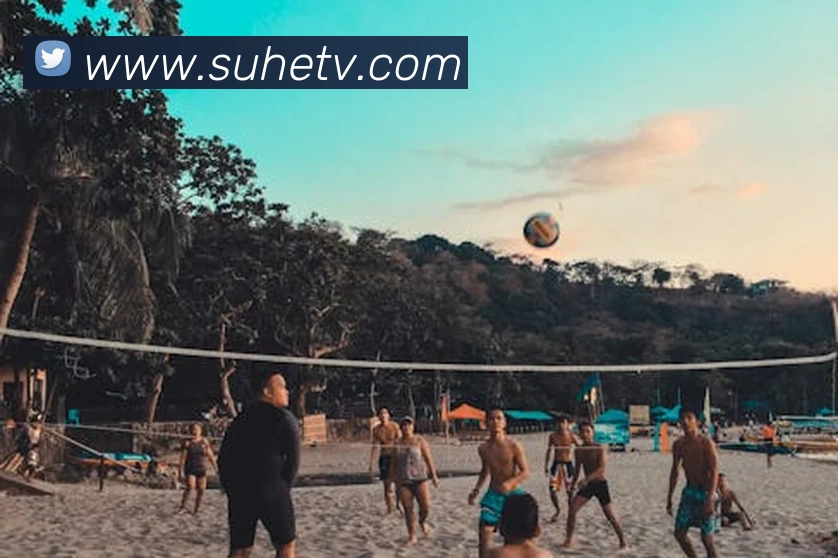 华会体育app官网平台生态图